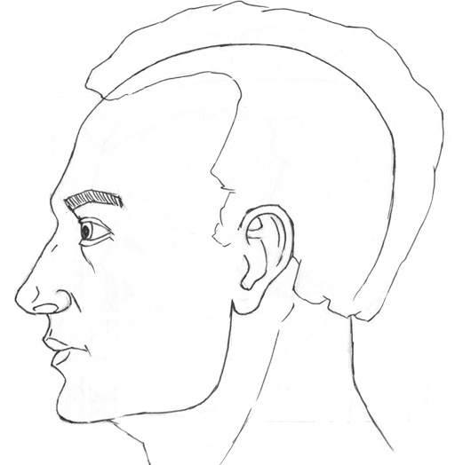 sketch of the portrait in the side view